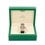 Rolex Sky-Dweller 42mm Rose Gold Chocolate Index Dial 326235